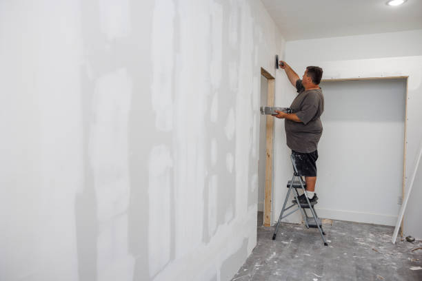 Best Mold Damage Restoration  in Wallington, NJ