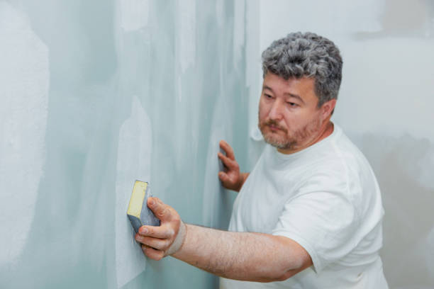 Best Mold Documentation for Insurance Claims  in Wallington, NJ